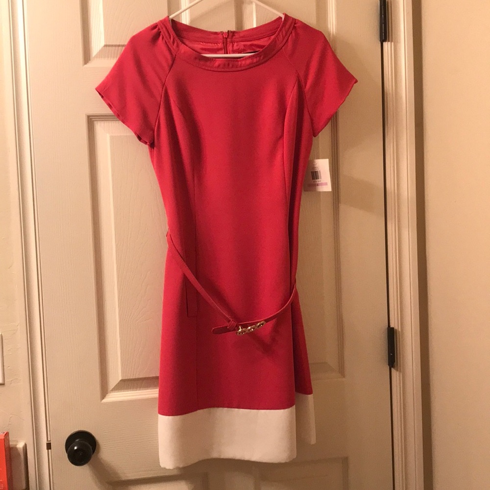 Ellen Tracey dress with belt, pink and cream